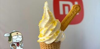 Xiaomi Ice Cream in Standard, Pro and Max versions… and no, it’s not a series of smartphones