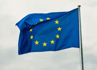 Plot twist: Apple defends Google in Europe over AI use