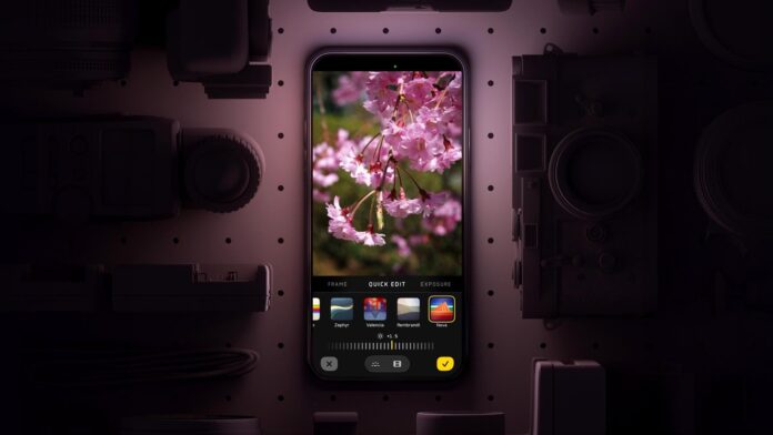 halide-mark-0528.jpg