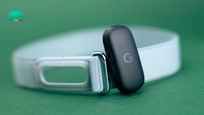 google-fitbit-air-7.jpg