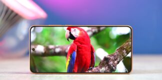 OPPO will be the first to bring Tandem OLEDs to smartphones?