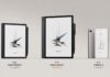BOOX renews the ePaper lineup for autumn with Note Air6 C, Note Mini C, and Palma 3